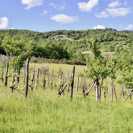 Villa La Speranza Villa